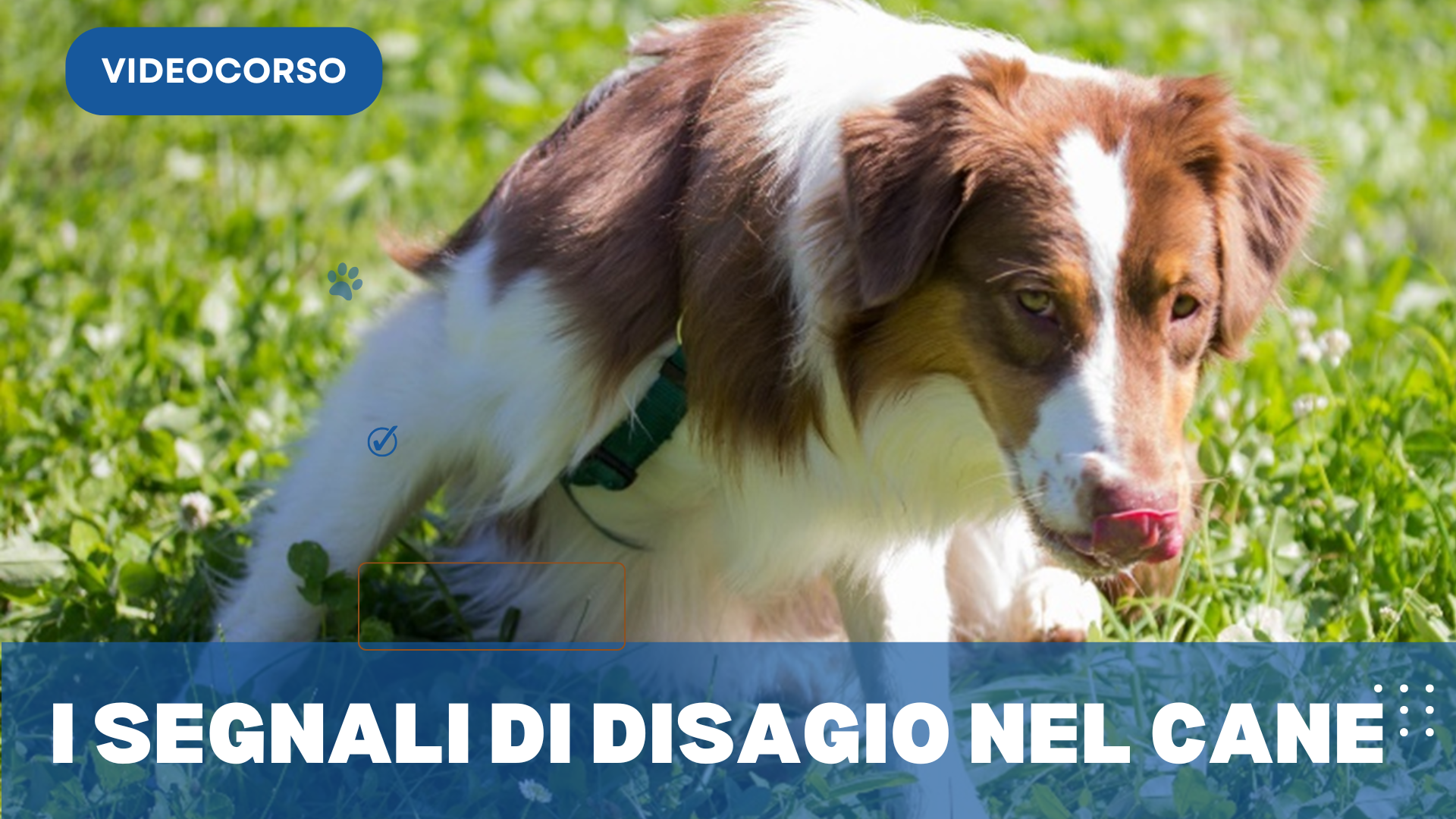 Locandina Corso Il Richiamo Sicuro